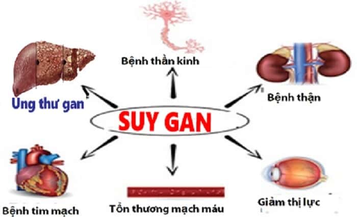 đông trùng hạ thảo thải độc gan