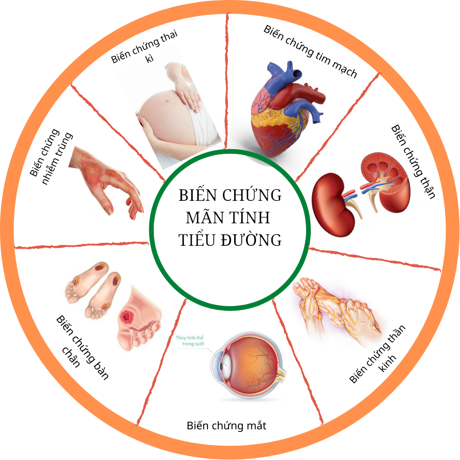 Đông trùng hạ thảo trị tiểu đường